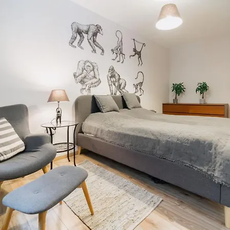 Apartment Monkey *