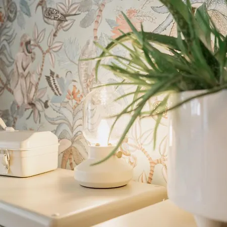 Διαμέρισμα Monkey *